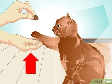Image titled Teach a Cat to "High Five" Step 26